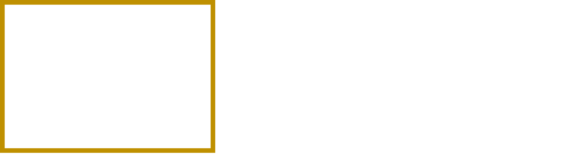 VX Associates