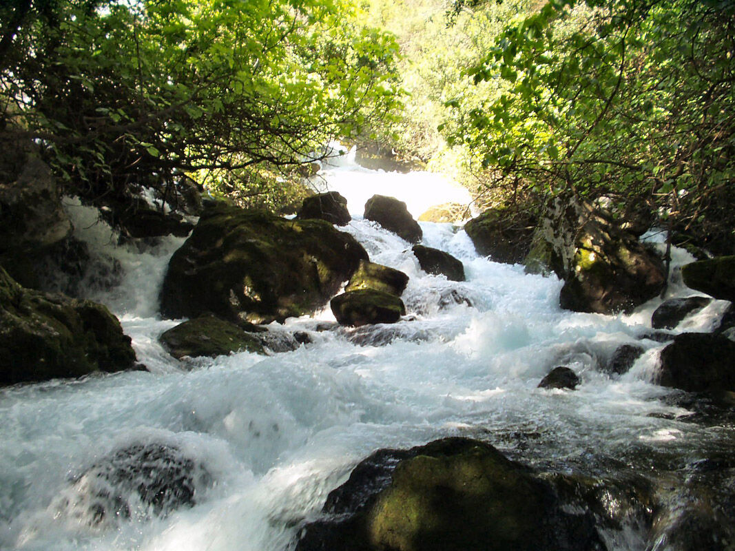 The River Ljuta flowing over moss-covered rocks beneath trees in Konavle