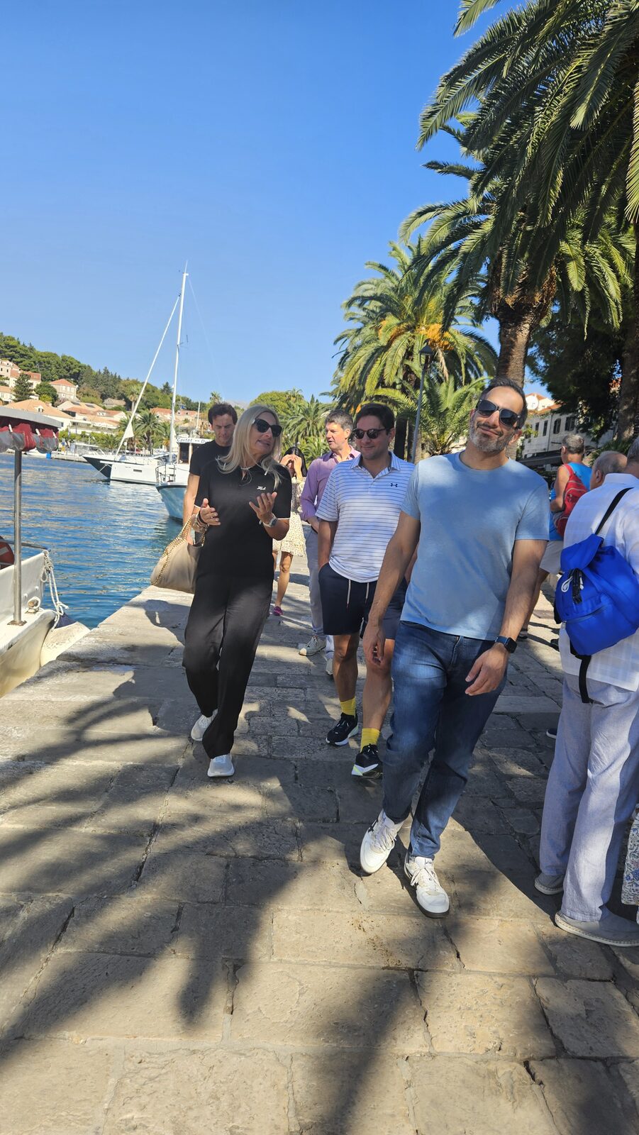 Excursion to Konavle, Cyrille Flichy, Tariq Fancy and Mirna Marovic